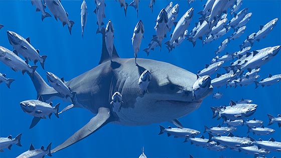 FumeFX fish school and flock simulation in 3ds max.